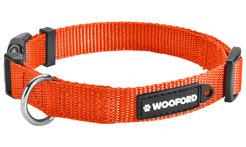 Coleira ajustável laranja para cão, anel D de metal prateado para chapa identificação, nylon leve e durável.