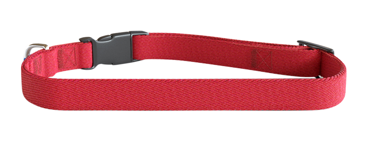 Coleira Para Cão Bordada Coleira vermelha bordada para cão, 30-46 cm, 1,5 cm de largura, nylon leve, personalizável com nome e detalhes do cão.