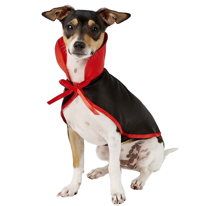 Fantasia de Vampiro para Cães de Halloween Fantasia de vampiro para cão em preto e vermelho com gola alta e gravata borboleta, conjunto 2-em-1, leve e ajustável.
