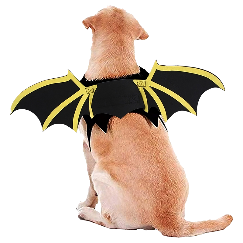 Fantasia para Cães Asas de Morcego para o Halloween