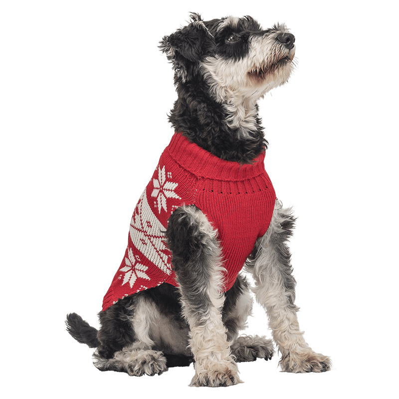 Camisola de Inverno Estampada para Cães Suéter de inverno vermelho para cães com padrão de floco de neve branco, lavável, proporcionando calor e estilo festivo.