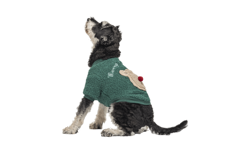 Casaco de Natal verde para cão com botões e design de ursinho fofo nas costas, lavável, para inverno e outono.