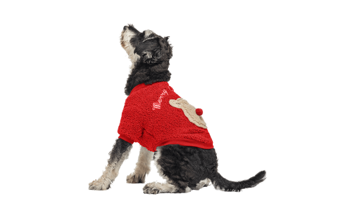 Casaco de Natal vermelho para cão com botões e design de ursinho fofo nas costas, lavável, para inverno e outono.