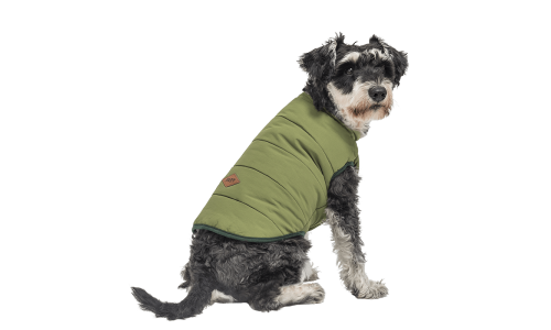 Colete de inverno verde à prova de vento para cão, ajuste confortável, para calor e proteção no clima frio.