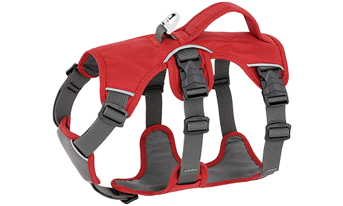 Peitoral para cães refletivo à prova de água Arnês impermeável vermelho para cão com alças ajustáveis, anel prateado resistente, adequado para diferentes cães.