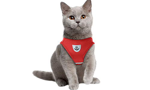 Conjunto de peitoral e trela refletivos para cães Coleira refletiva vermelha para gato com colete, prática, inclui tecido de malha respirável e coleira de 120 cm.