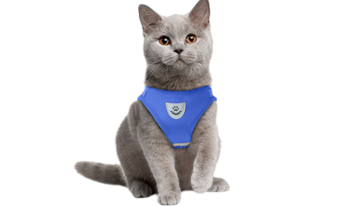 Coleira refletiva azul para gato com colete, prática, inclui tecido de malha respirável e coleira de 120 cm.