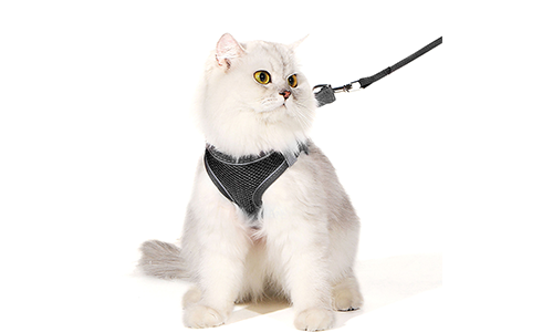 Coleira refletiva preta para gato com colete, ajustável e leve, coleira de 140 cm, conforto e visibilidade.