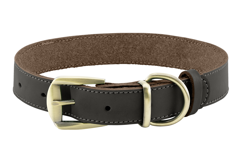 Coleira de Cachorro de Couro Genuíno de Luxo Coleira de couro genuíno marrom de luxo para cão com fivela dourada ajustável, durável e forte, D-ring para coleira.