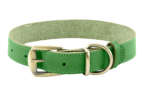 Coleira de couro genuíno verde de luxo para cão, durável e forte, material de couro genuíno de alta qualidade, com fivela.