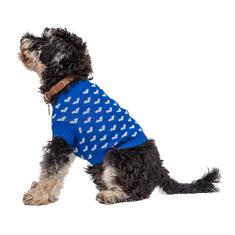Camisola com corações estampados para cães Cão usando um suéter azul aconchegante com padrões de corações brancos, perfeito para estilo e calor nos dias frios.