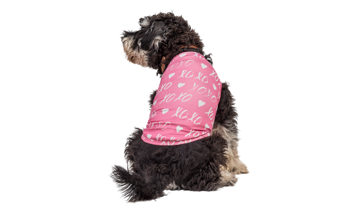 Cão usando um colete rosa de Dia dos Namorados com coração branco e 'XOXO', estilo festivo e elegante para pets.