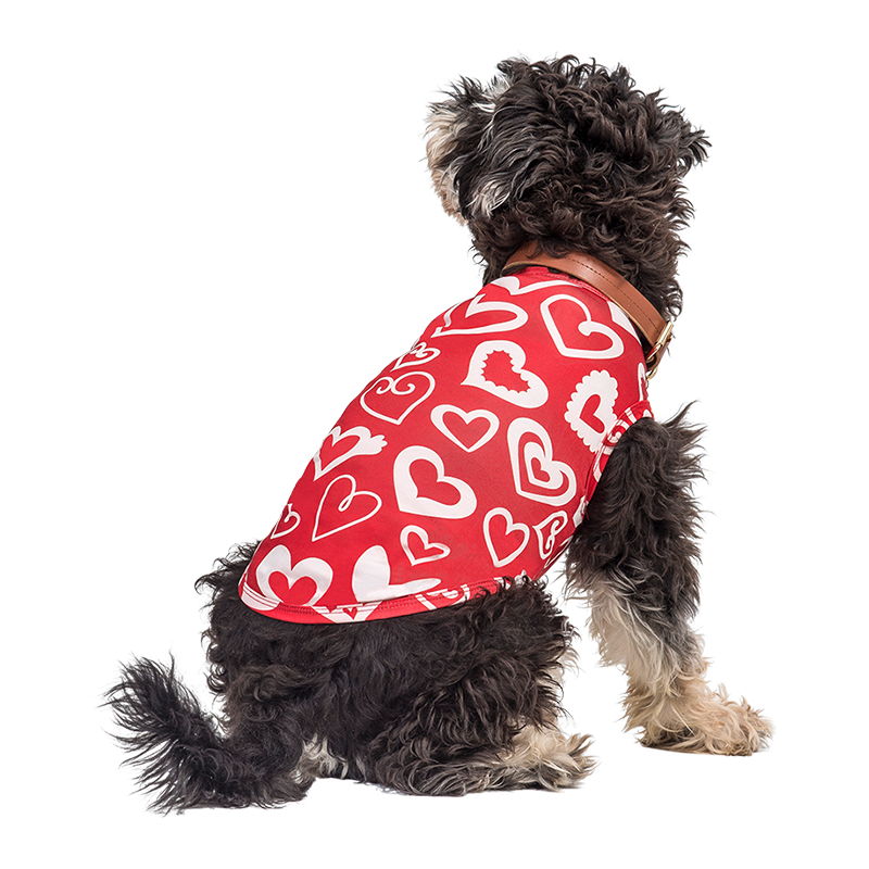 Conjunto para cachorro para o Dia de São Valentim - colete para cão Cão usando um colete vermelho temático de Dia dos Namorados com coração vermelho e branco, estilo festivo e elegante.