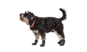 Conjunto de 4 meias esportivas para cães em cinza, solas antiderrapantes, leves, material fácil de limpar para conforto.