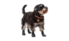 Conjunto de 4 meias esportivas para cães em cinza, solas antiderrapantes, leves, borracha antiderrapante para conforto.