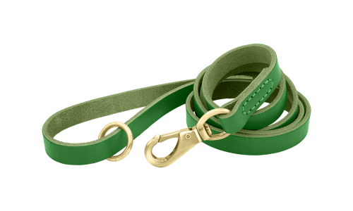 Coleira de couro genuíno verde para cão, 150 cm, confortável, com fecho dourado e anel para durabilidade.