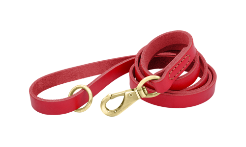 Coleira de couro genuíno vermelha para cão, 150 cm, confortável, com fecho dourado e anel para durabilidade.