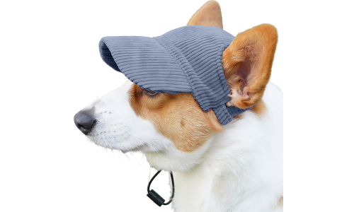 Corgi usando chapéu esportivo azul de malha respirável, leve, para proteção solar em passeios de verão.