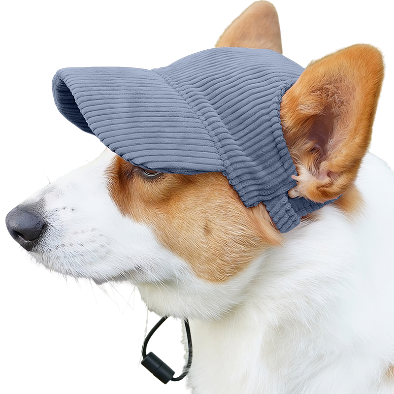 Chapéu de Esporte Respirável para Cães no Verão Corgi usando chapéu esportivo azul de malha respirável, leve, para proteção solar em passeios de verão.