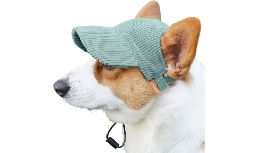 Corgi usando chapéu esportivo verde de malha respirável, leve, para proteção solar em passeios de verão.