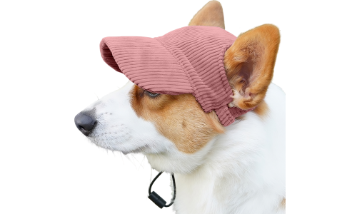 Corgi usando chapéu esportivo rosa claro de malha respirável, leve, para proteção solar em passeios de verão.