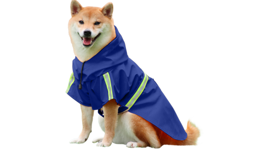 Shiba Inu com capa de chuva azul impermeável, tiras refletivas, fácil de colocar e tirar, para passeios na chuva.