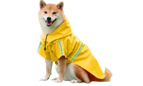 Shiba Inu com capa de chuva amarela impermeável, tiras refletivas, fácil de colocar e tirar, para passeios na chuva.