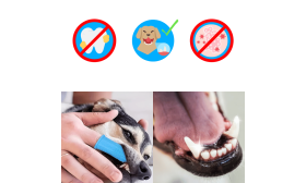 Escova de Dentes para Dedo de Silicone 360º para Cães