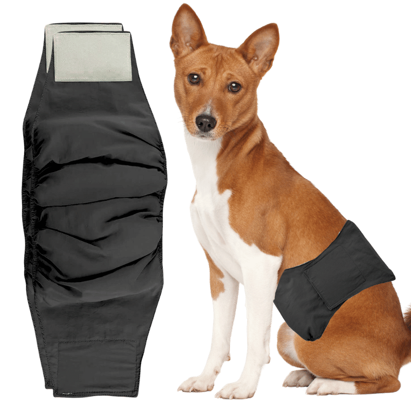 Fralda Canina Lavável Premium para Cães Machos