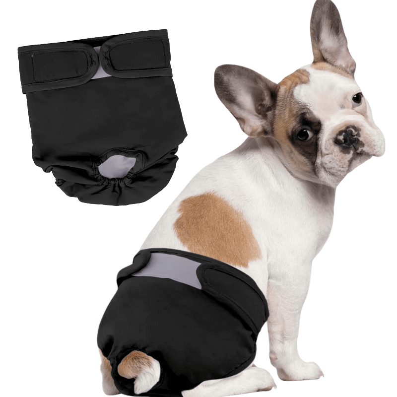 Fralda Canina Lavável Premium para Cadelas