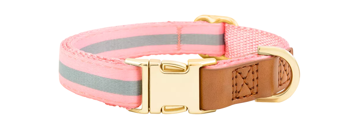 Coleira para cães com fivela dourada gravada Coleira rosa claro para cão com fivela metálica dourada para gravação do nome, 27-40 cm, 1,5 cm de largura, com D-ring.