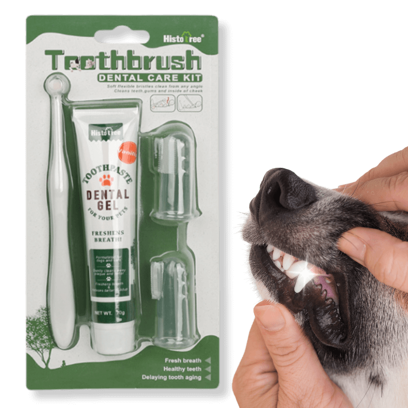 Conjunto Completo de Cuidados orais para Cães: escova de dentes, 2 escovas de dedos e pasta de dentes de baunilha