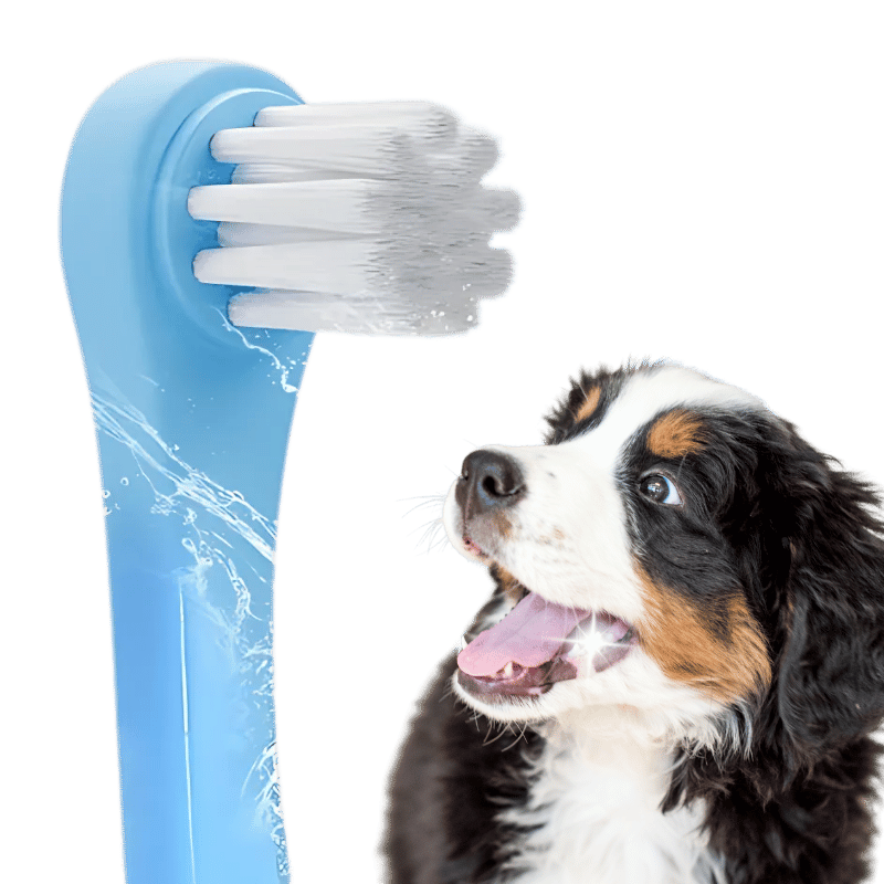 Escova de dentes Gentle Clean para cães e gatos com cerdas macias de nylon