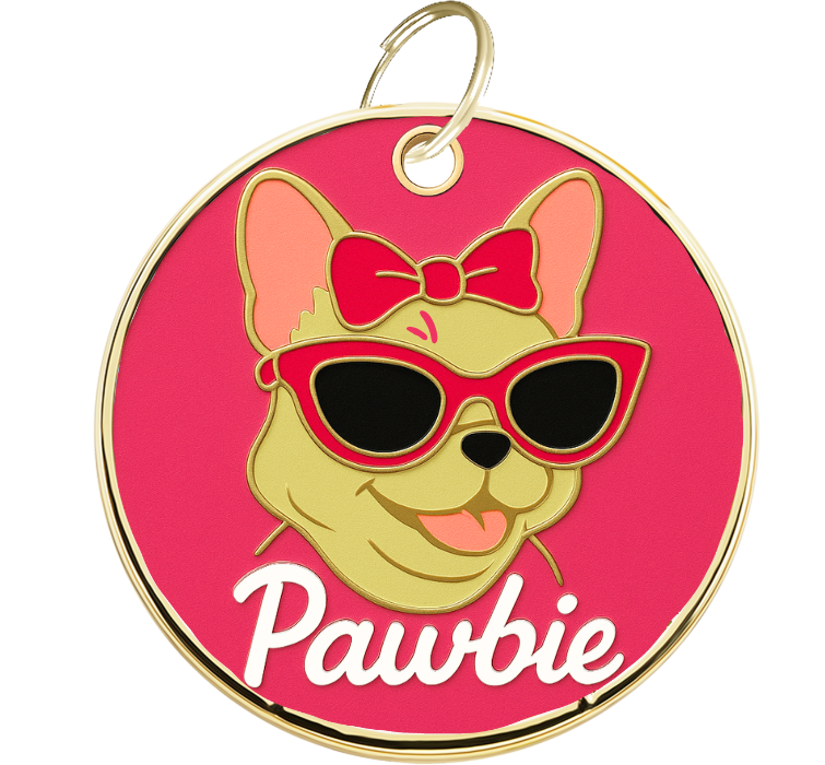 Medalha Gravada Barbiepet Para Cão