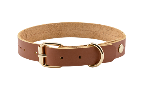 Coleira para Cão de Couro Genuíno de Alta Qualidade Coleira de cão de couro genuíno marrom de alta qualidade, 27-34 cm, com fivela dourada e D-ring para durabilidade.